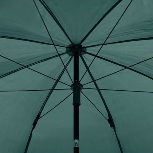 vidaXL Green Fishing Umbrella with Oxford Polyester and Steel Frame, W: 220 cm, D: 193 cm – 4