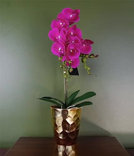 Botanik Artificial Orchid Plant in a Dark Pink and Gold Pot, Height: 54 cm – 1