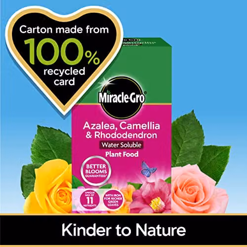 Miracle-Gro Azalea, Camellia and Rhododendron Soluble Plant Food, 1 kg – 4