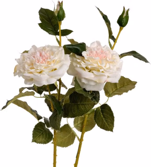 KDMK White Organic Garden Rose Spray