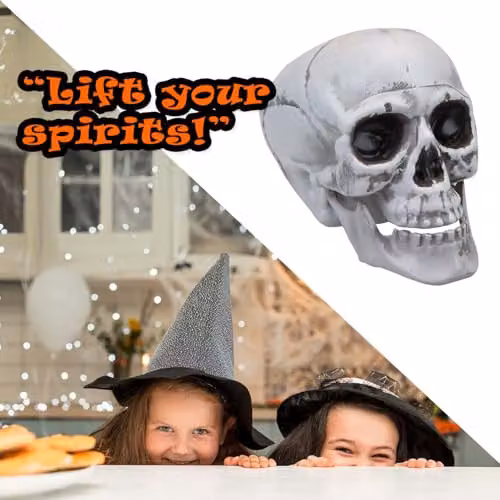 VFM e-Store Large Skull Decoration with Moving Jaw in White, Height: 19 cm – 7