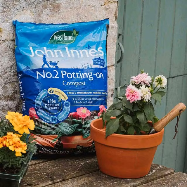 Westland John Innes Peat-Free No.2 Potting-On Compost, 28 l