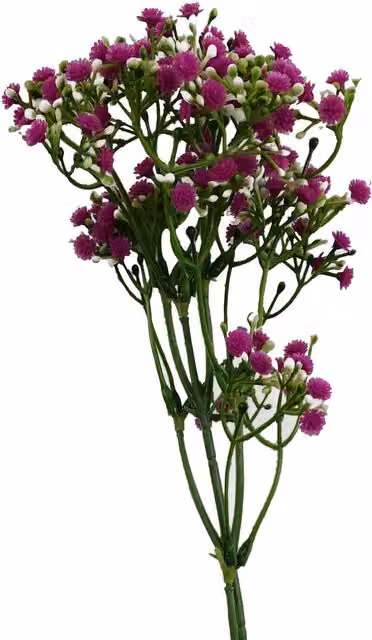Pink Gypsophila Artificial Floral Stem with Leaves