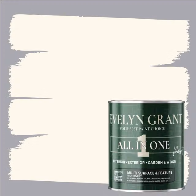 Evelyn Grant All-In-One Multi Surface Indoor and Outdoor Water Based Matt Paint, Beige, 5 l – 1