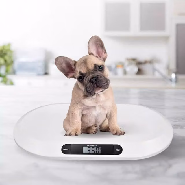 Marco Paul Electronic Baby Weighing Scales with Digital Display in White – 1