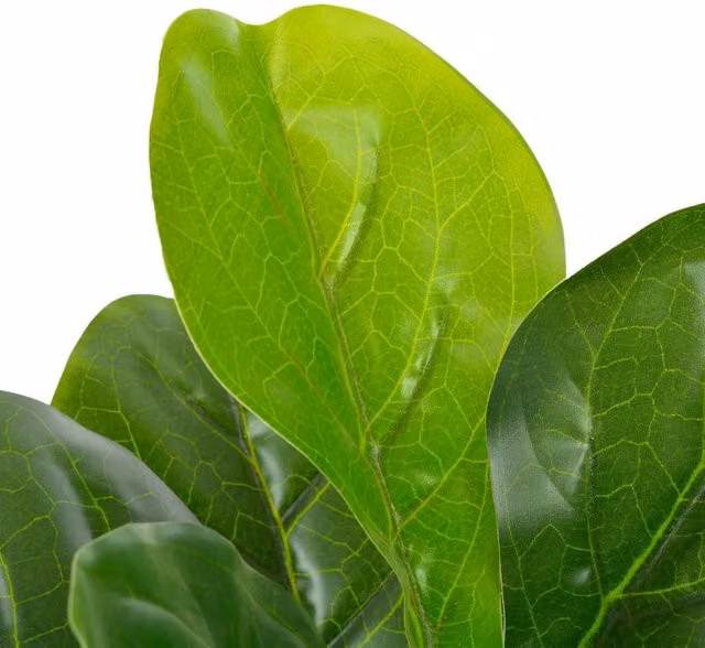 Berkfield Home Artificial Fiddle Leaf Plant with Pot, Green, Height: 90 cm – 1