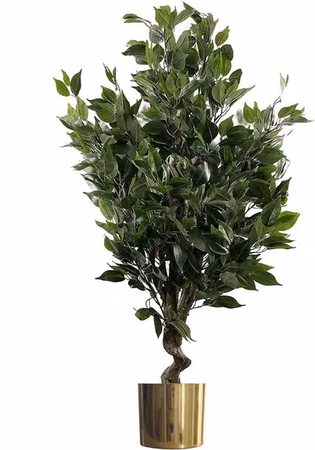 Artificial Evergreen Ficus Gold Tree in Green and Gold, H 110 cm x W 60 cm x D 25 cm