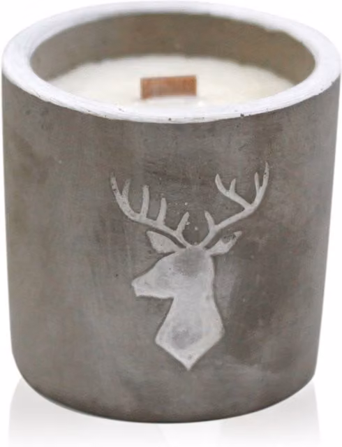 KDMD Med Pot Stag Head Concrete Tabletop Planter in Grey with Whiskey and Woodsmoke Scent – 1