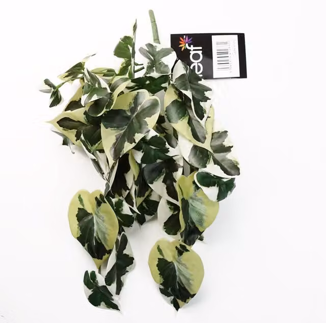 Artificial Hanging Variegated Marble Pothos Plant in Green