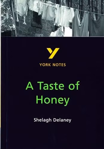 Pearson Education A Taste of Honey York Notes GCSE English Literature Study Guide