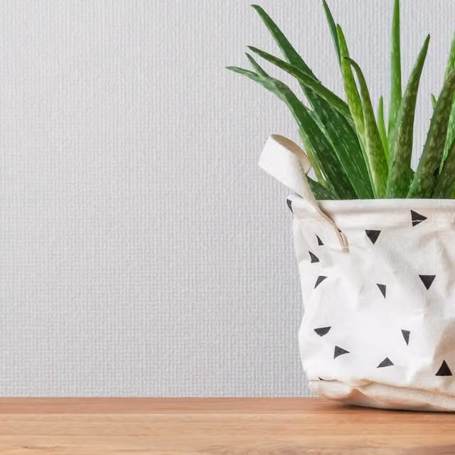 Superfresco Louis Paintable Durable Texture Wallpaper in White and Cream