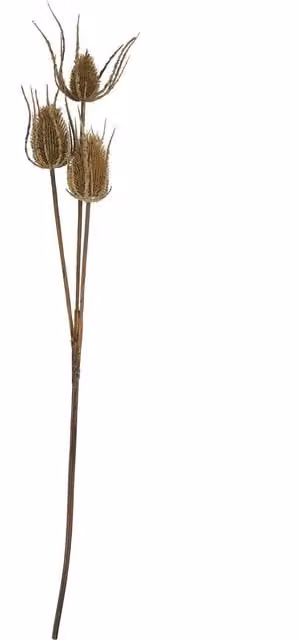 Hill Interiors Triple Teasel Artificial Flower in Brown