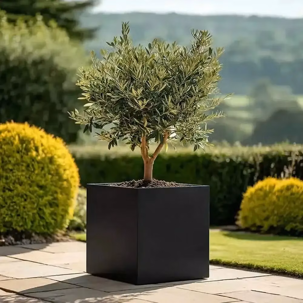 Tulipy Galvanised Steel Square Planter, Matte Black, W: 50 cm, D: 50 cm, H: 50 cm – 9