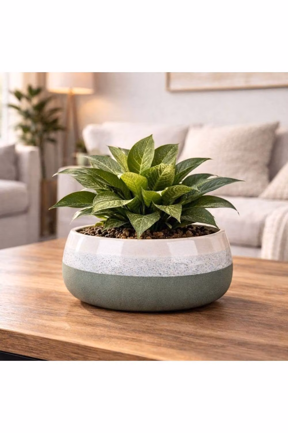 KDMD Hortus Bordeaux Ceramic Planter Pot in Green and White, H 13.5 cm x Dia 25.5 cm – 3
