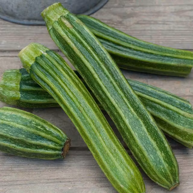 Marshalls Romanesco Latino F1 Green Courgette Seeds