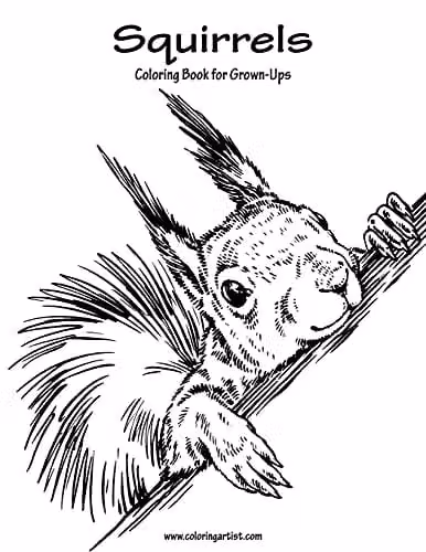 Squirrels Coloring Book for Grown-Ups Volume 1 by Createspace