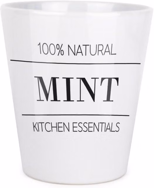 Purely Home Minimalist Round Ceramic Tabletop Plant Pot in White or Black