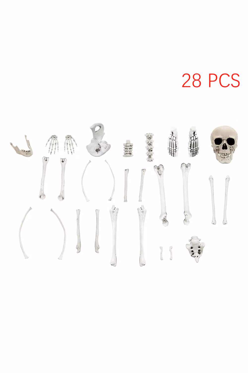 Living and Home 28-Piece Halloween Skeleton Bone and Skull Prop Set in White – 2