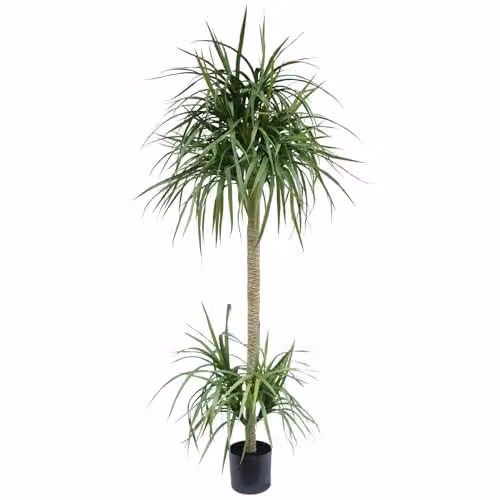 Leaf Design UK 180cm Realistic Green Dracaena Artificial Tree – 3