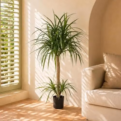 Leaf Design UK Green Artificial Yucca Tropical House Plant, H 120 cm x W 60 cm x D 60 cm – 1