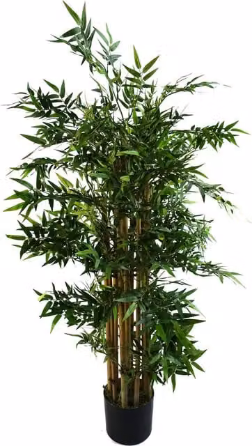 Botanik Artificial Oriental Bamboo Tabletop Plant, Green and Black, Height: 60 cm