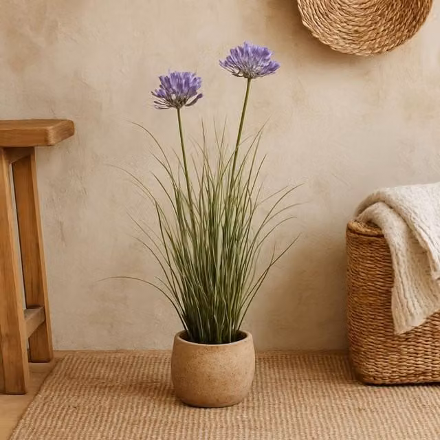 Wyld Haus Artificial Purple Agapanthus Plant in Green, Height: 90 cm