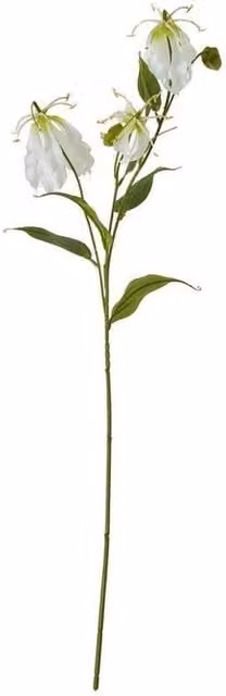 Lemon Pavilion Gloriosa Lily Spray in White and Green, Height: 84 cm