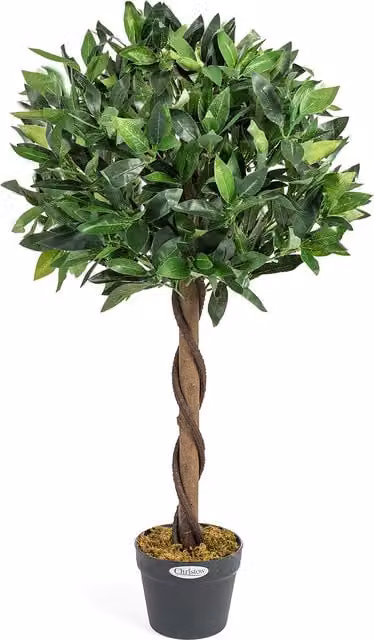 Christow Artificial Bay Tree in Pot, Green, Height: 90 cm