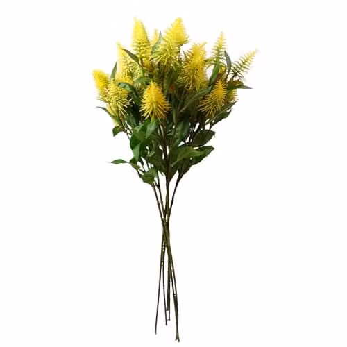 Pegdev Pack of 6 Yellow Artificial Callistemon Pallidus Bottle Brush Stems, 55cm Length