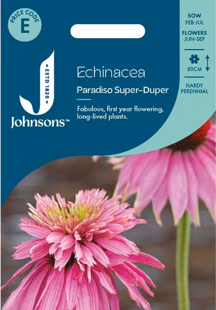 Johnsons Seeds Echinacea Paradiso Super Duper Pink Flower Seeds