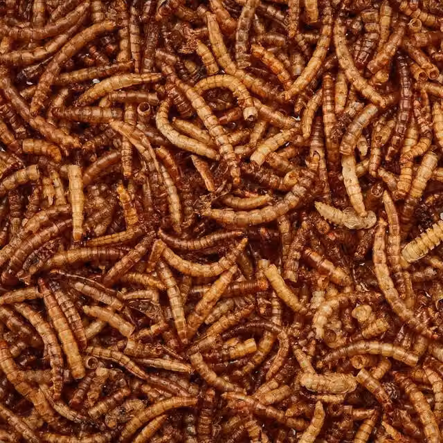 Happy Beaks Dried Calciworms Wild Bird Feed, Brown, 5kg