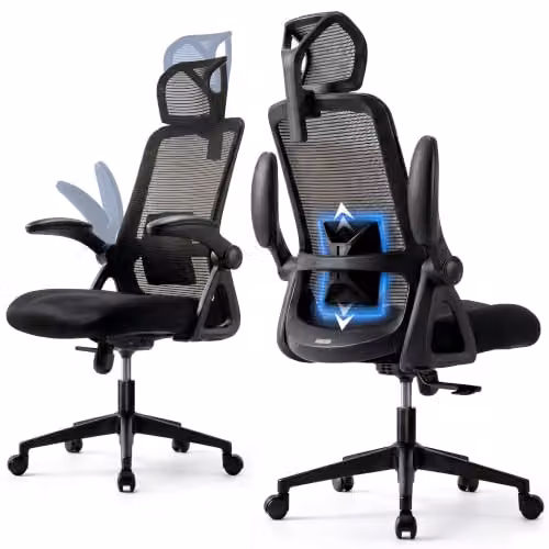 Realm of Thrones Black Mesh Ergonomic Office Chair with Headrest and Weight Adjustment