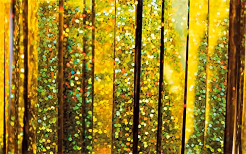 Netagon Shimmer Tinsel Curtain Gold W: 100 cm, H: 200 cm – 2