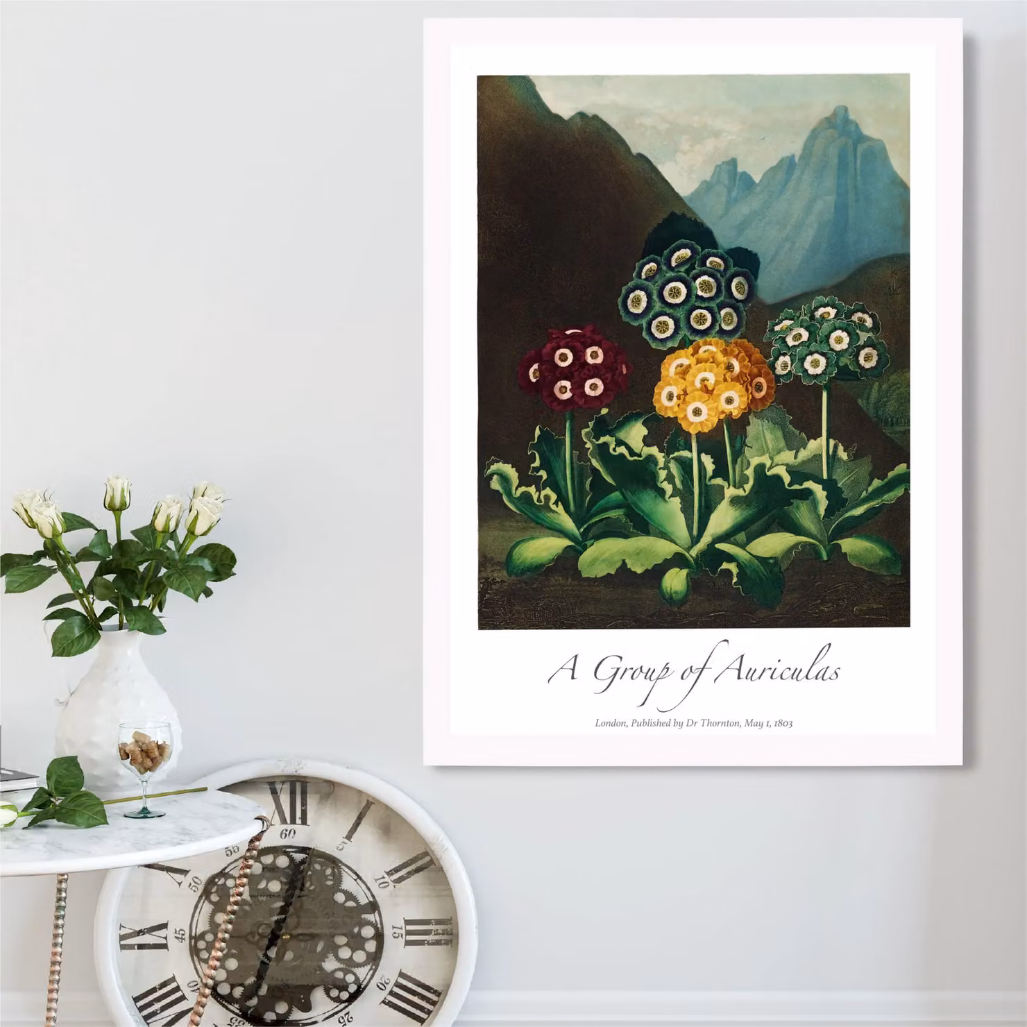 ARTZE Vintage Floral Auricula Flowers Framed Print, Red and Multicolour, A4 – 2
