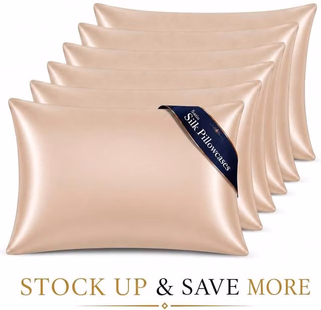 Pamposh Luxury Mako Satin Silk Pillowcase Set of 6 in Beige