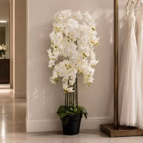 Leaf Realistic Artificial White Orchid Plant with 189 Flowers, Height: 150 cm – 2