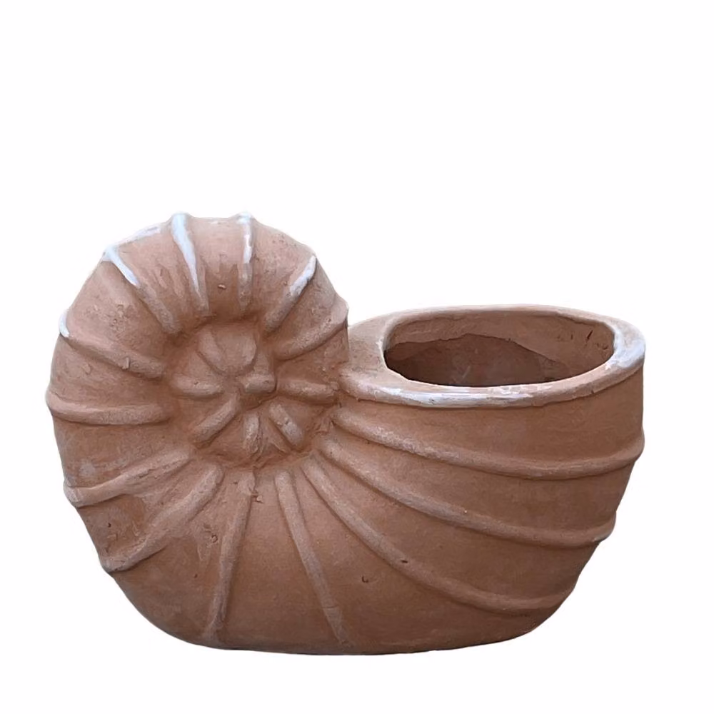 Primrose Siena Nautilus Ammonites Shell Fossil Themed Terracotta Planter, Brown, Height: 23 cm – 2
