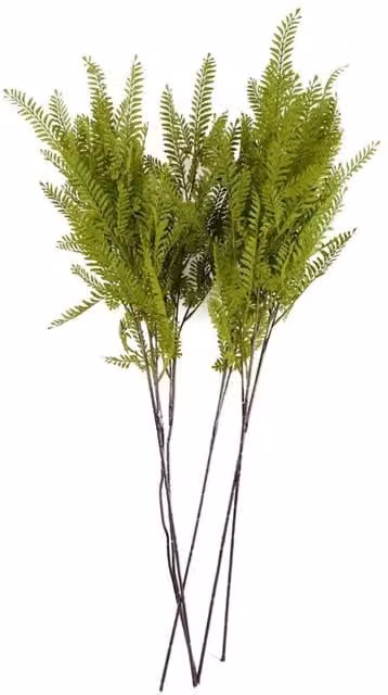 Dyzi Pack of 6 Green Himalayan Maidenhair Fern Stems