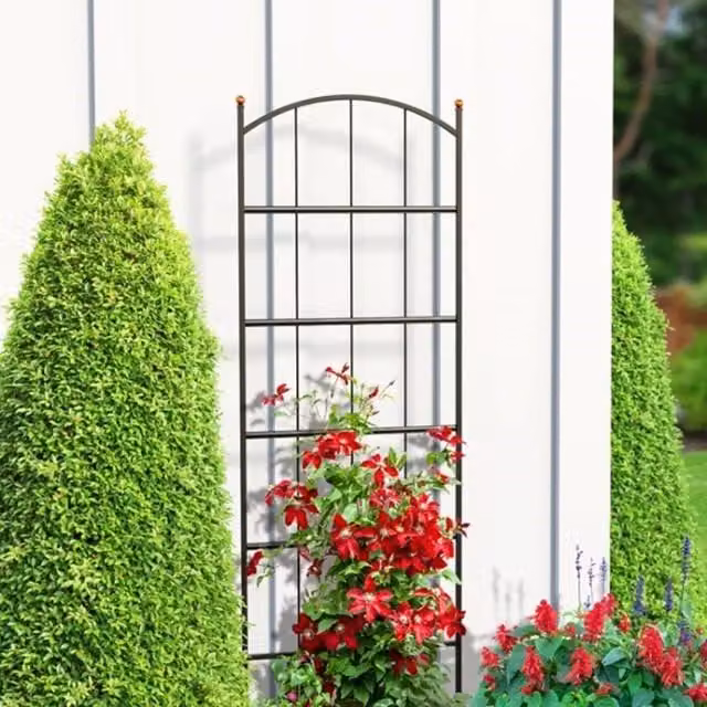Primrose Modern Farmhouse Black Powder-Coated Steel Trellis with Copper Accent Finial Balls, Height: 190 cm