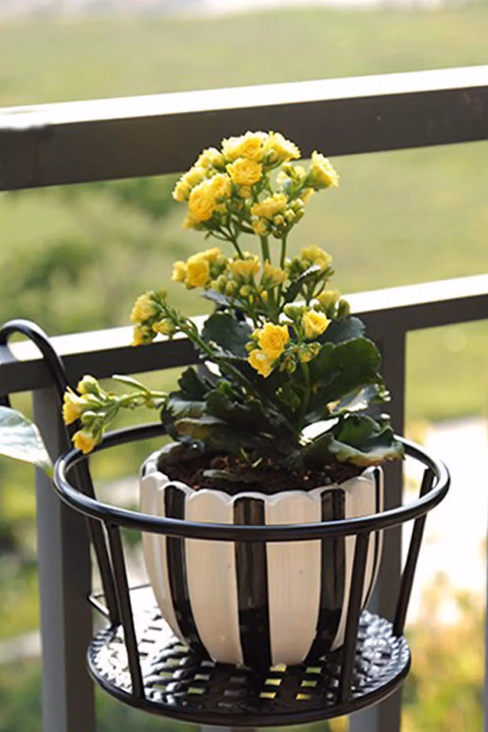 H&O Direct Metal Hanging Railing Planter Pot in Black – 2