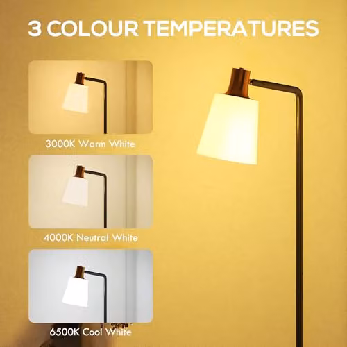 HOMCOM Modern LED Floor Lamp with Adjustable Head and CCT, Black – 3