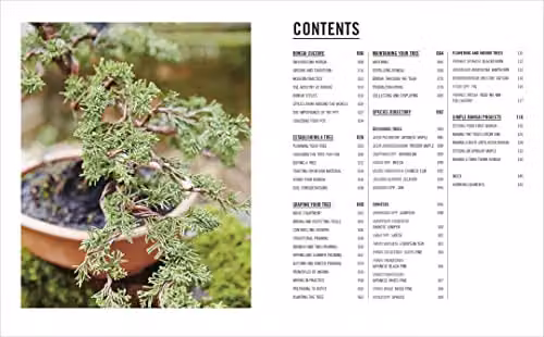 Grow Bonsai by DK: Essential Know-how and Expert Advice for Gardening Success, Multicolour – 3