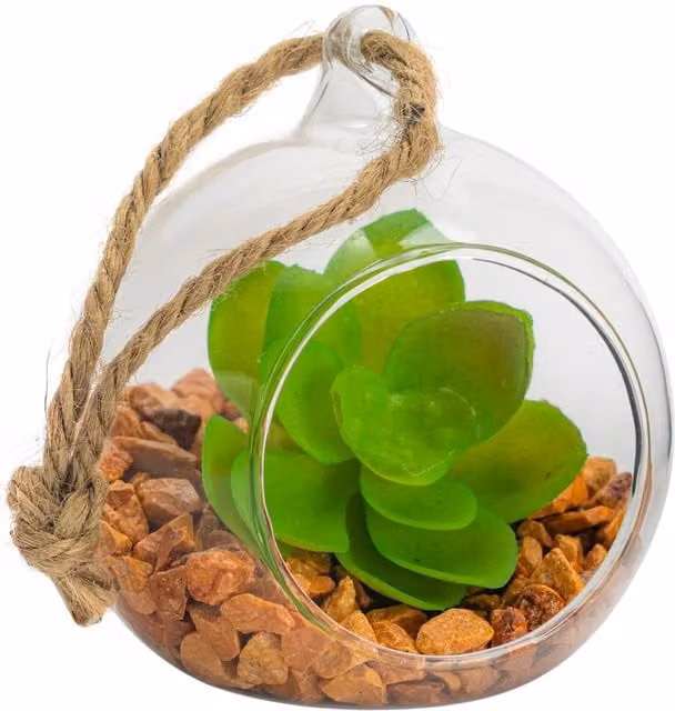 Nicola Spring Round Hanging Glass Terrarium in Transparent Yellow