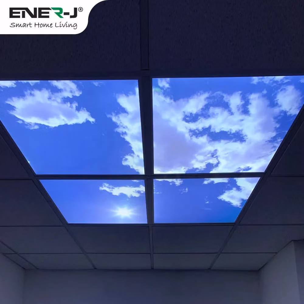 ENER-J 3D Sky Cloud LED Ceiling Panels, Pack of 4, White, Diameter: 25 cm, Height: 19 cm – 4