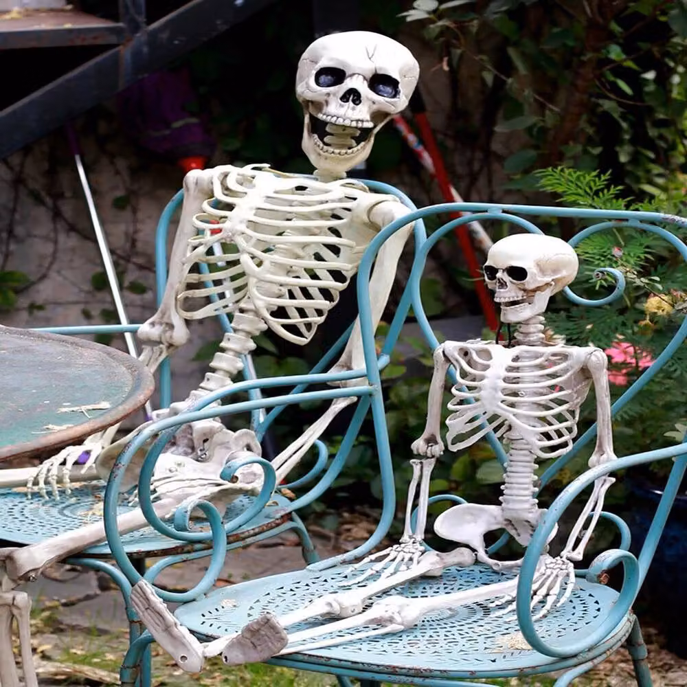 FLAVORA White Poseable Full Life Size Human Skeleton, W/D/H: 15 x 15 x 100 cm – 3