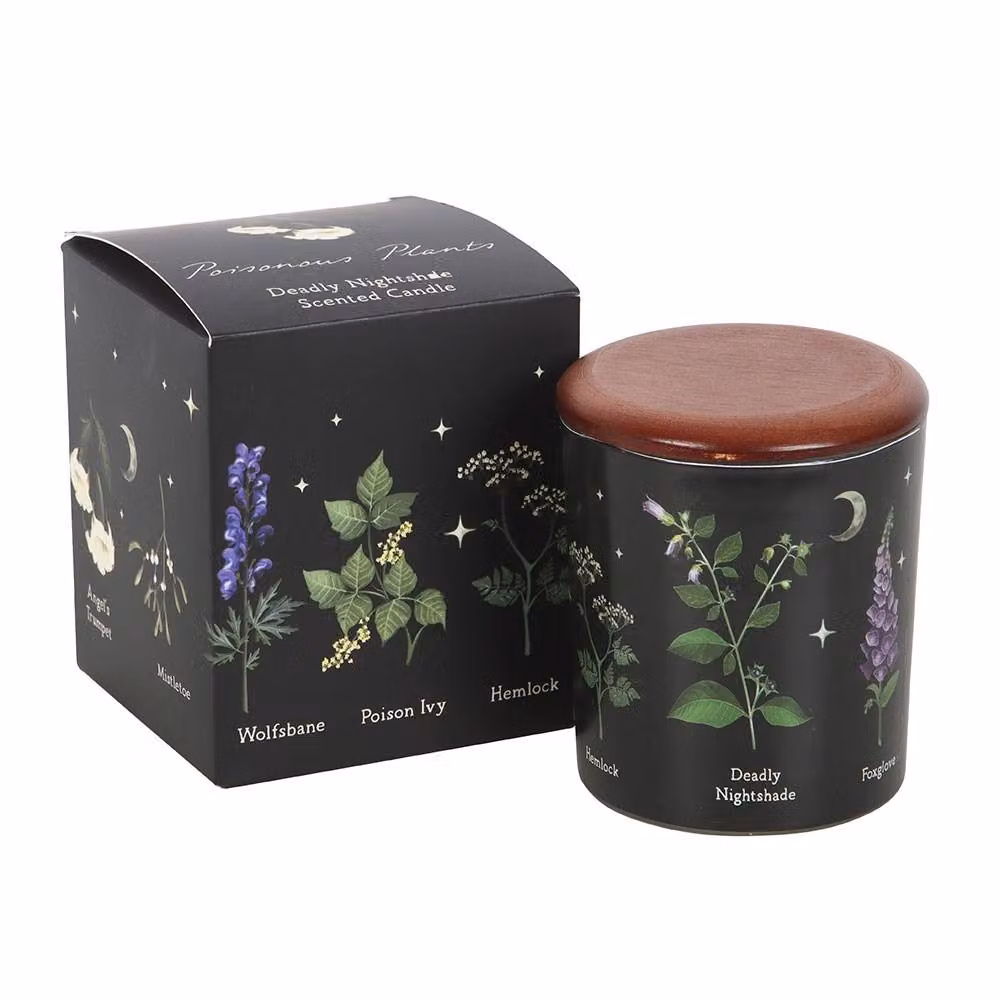 Something Different Deadly Nightshade Scented Floral Tabletop Candle in Black – 2