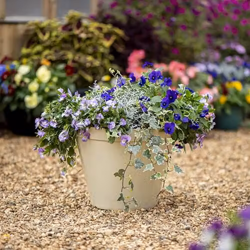 Garden Gear Lindos Glazed Effect Planter, Stone, Diameter: 39.5 cm, Height: 34 cm – 3