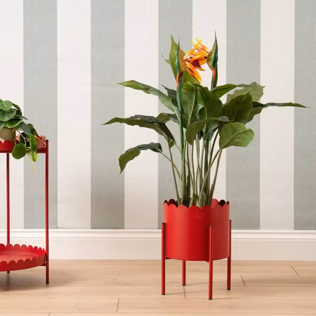 Scottish Everlastings Ltd Red Scallop Round Metal Tabletop Planter W/D/H: 21.7 x 18.0 x 21.7 cm