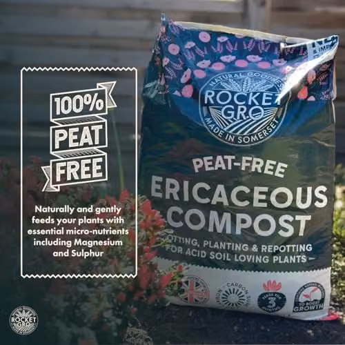 RocketGro Ericaceous Peat-Free Compost, 20L – 3