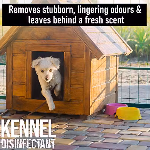 ULTIMA-PLUS XP Kennel Kleen Disinfectant Cleaner, Sanitiser and Deodoriser, Lavender, 10 l – 2